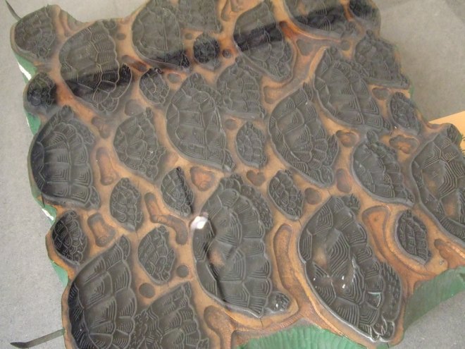 evans block tortoise